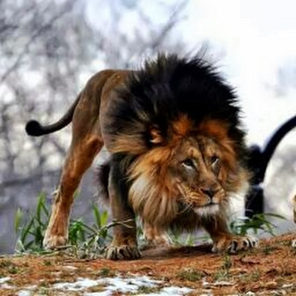 Meet your Posher, R - Picture 1 of 1